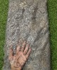 Grey Net Fabric With Net Wok
